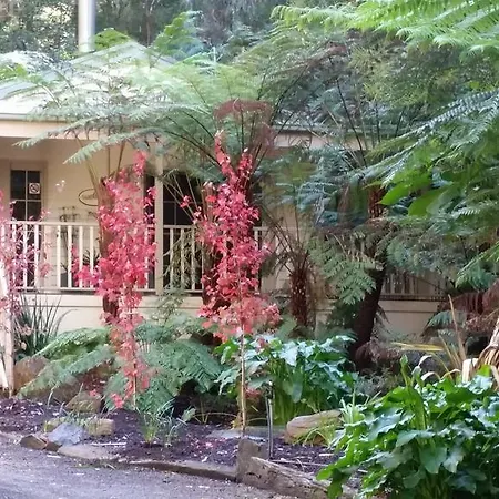 Myers Creek Cascades Luxury Cottages Healesville Exterior photo