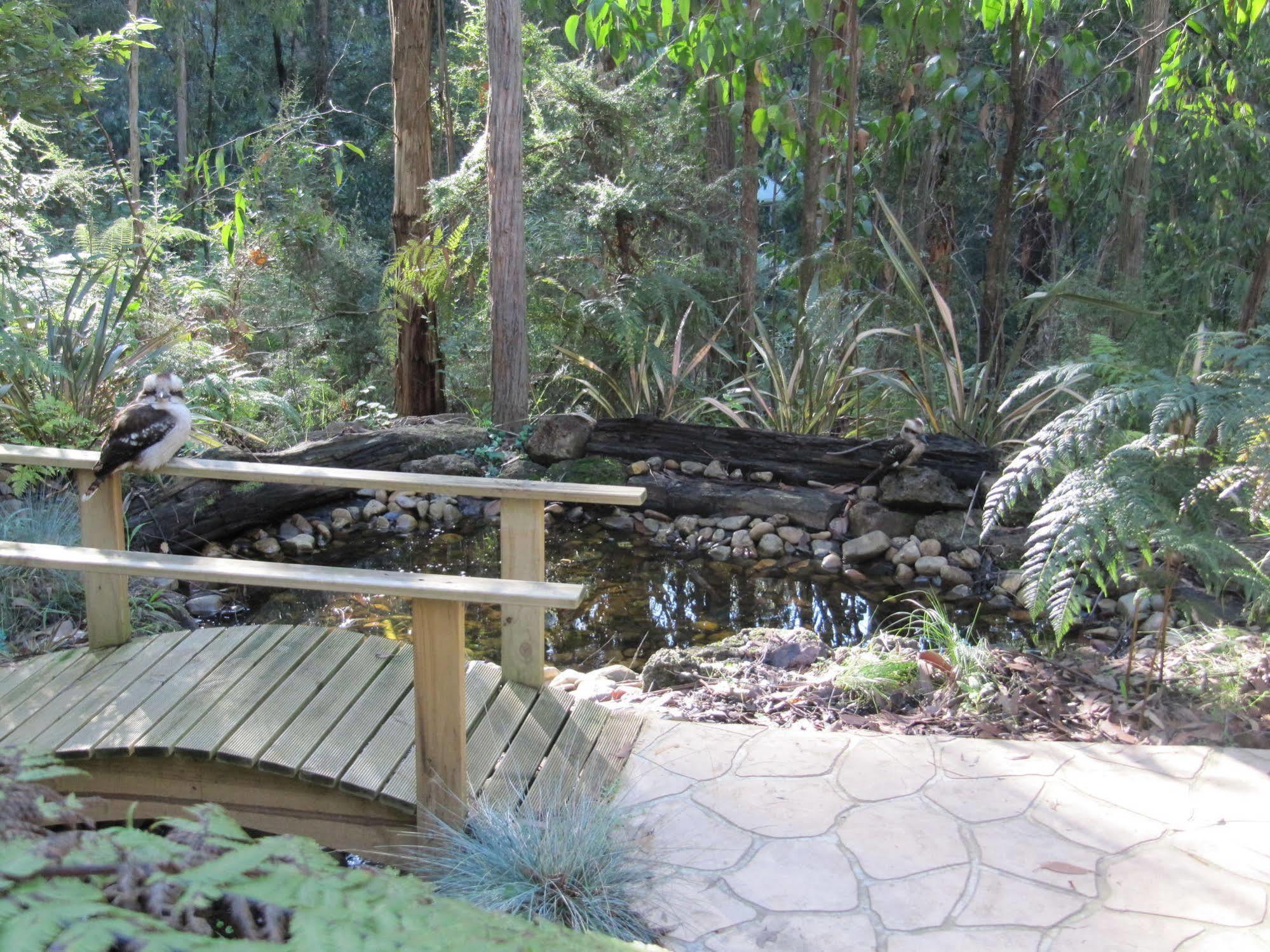 Cottage Myers Creek Cascades Luxury Healesville