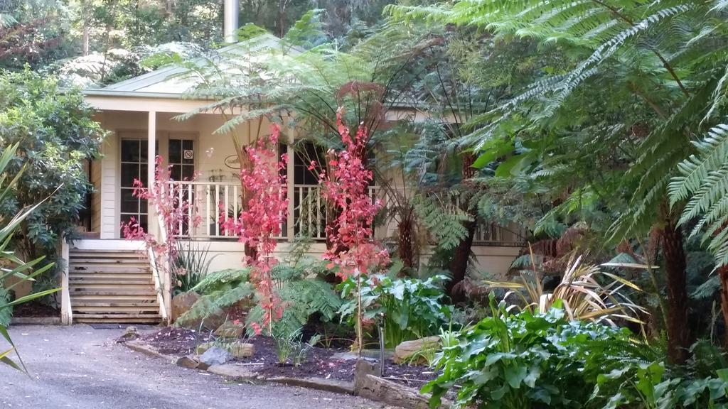 Myers Creek Cascades Luxury Cottage Healesville