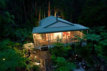 Myers Creek Cascades Luxury Cottage Healesville