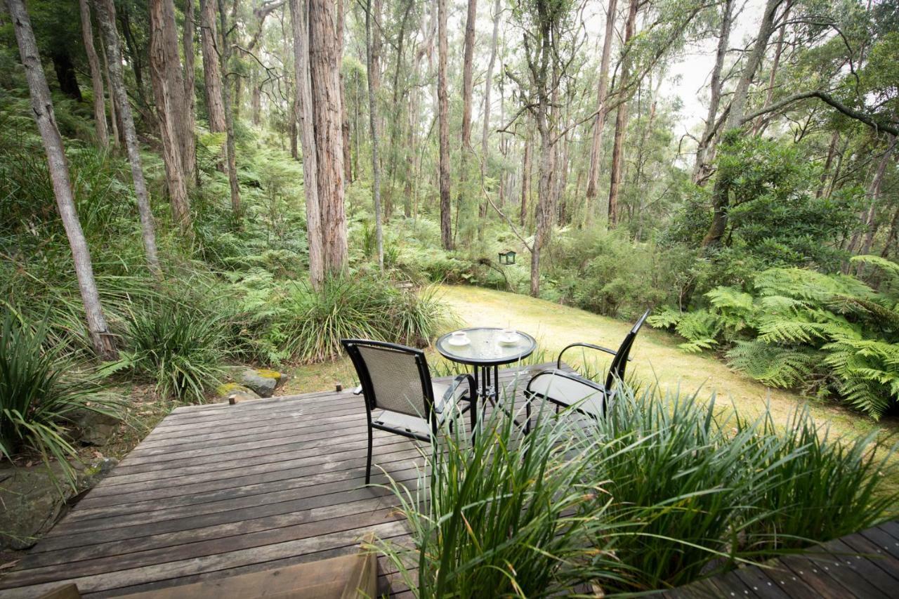 Myers Creek Cascades Luxury Cottage *